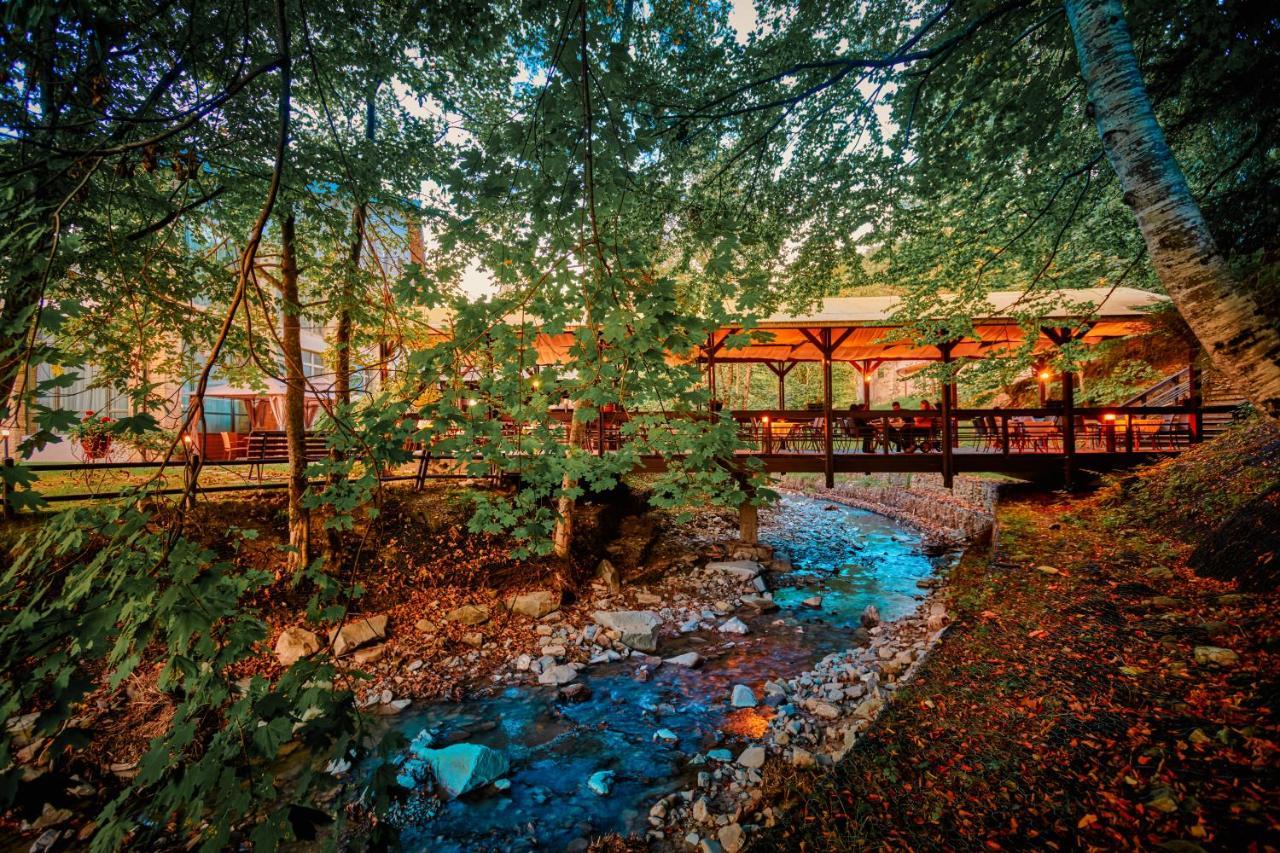 Hotel & Restaurant Sofia Suczawica Zewnętrze zdjęcie
